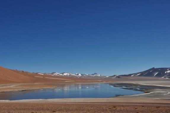 Lindas lagoas na puna chilena, a caminho de San Pedro de Atacama